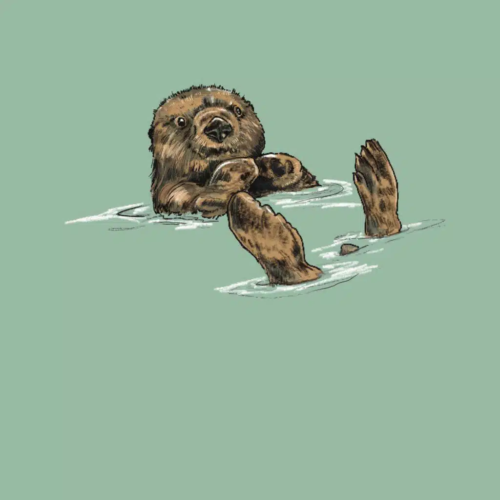 OTTERS with Chris J. Law