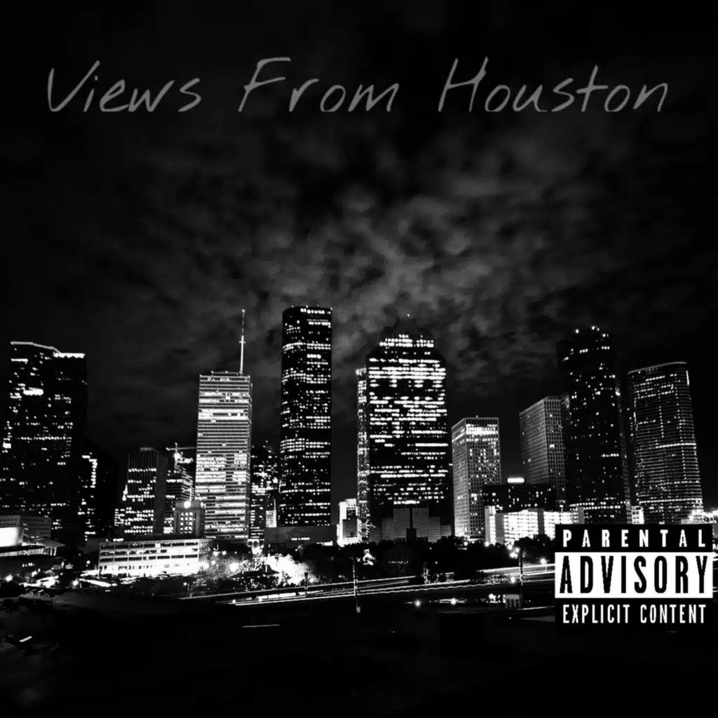 Views from Houston