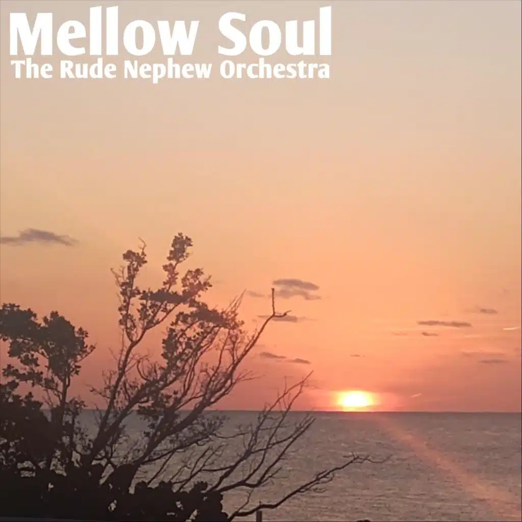 The Rude Nephew Orchestra