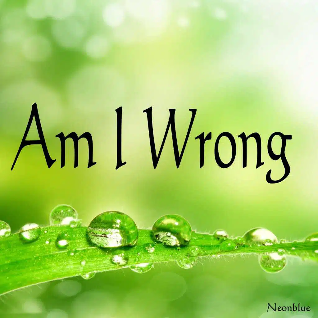 Am I Wrong (Instrumental)