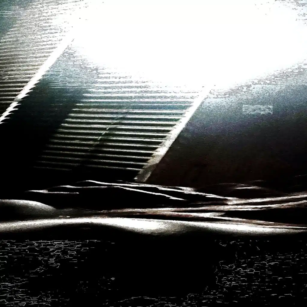 Felt Conscious, Might Delete Later (Personal Archive)