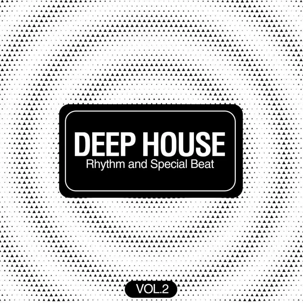 Deep House Rhythm and Special Beat, Vol. 2