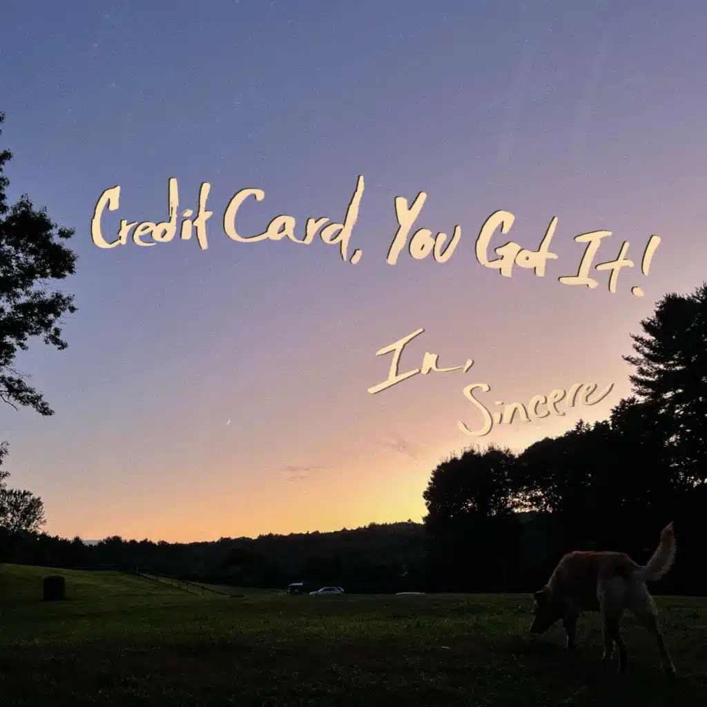 Credit Card, You Got It!