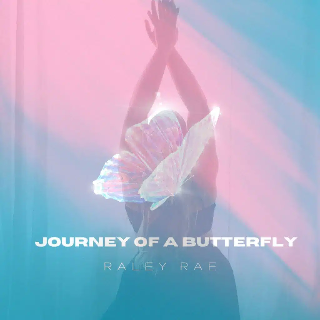 Journey of a Butterfly