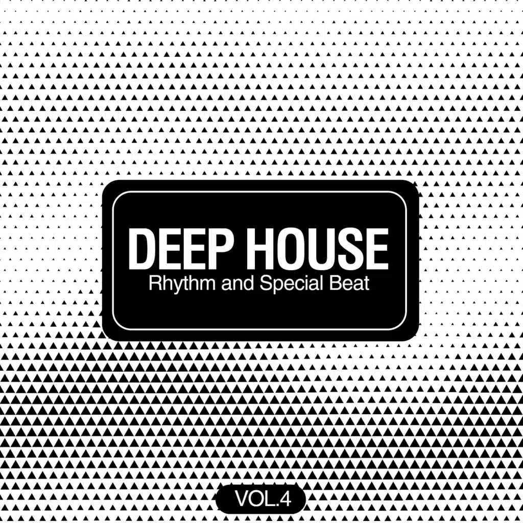 Deep House Rhythm and Special Beat, Vol. 4