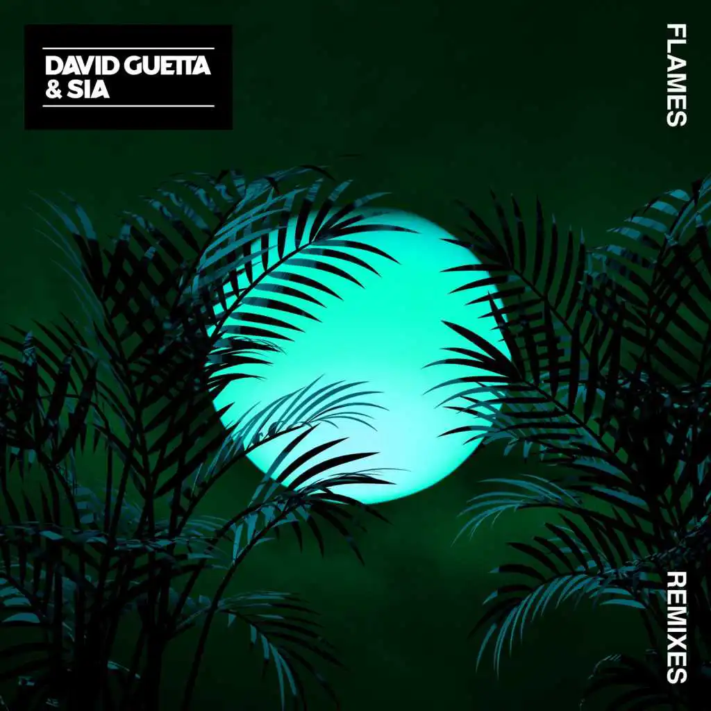 Flames (David Guetta Remix)