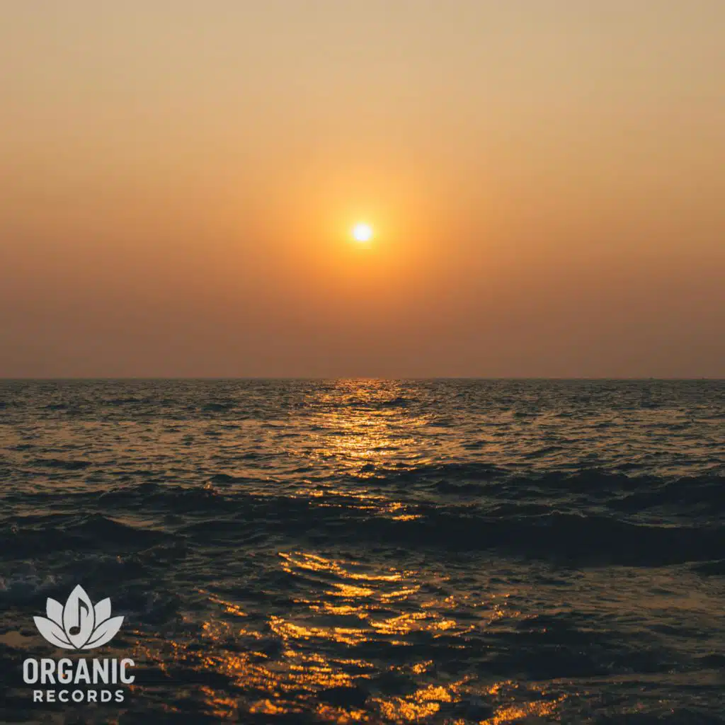 海浪的低語：舒緩助眠音樂