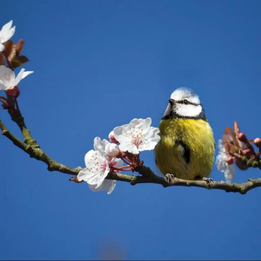 徒步放松亲近自然 舒缓治愈冥想瑜伽白噪音