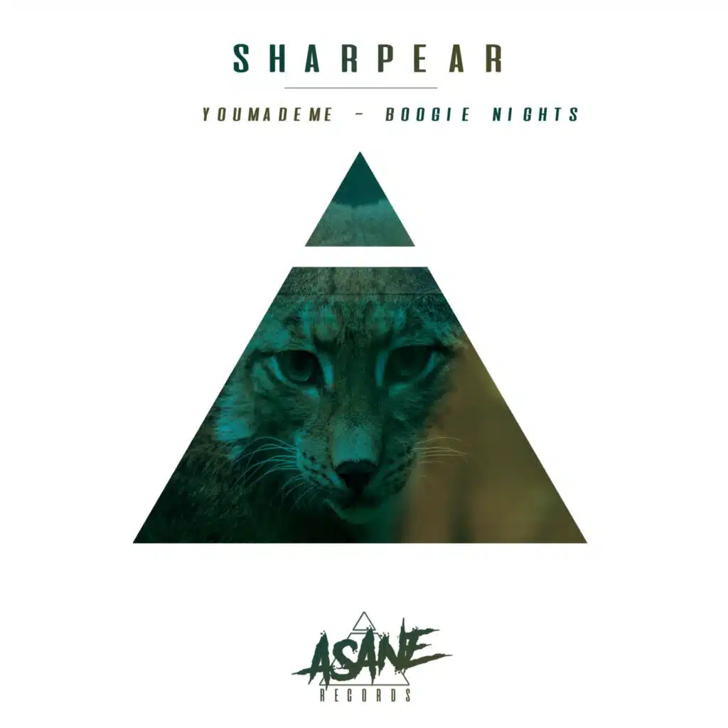 SharpEar - YouMadeMe/Boogie Nights (EP)