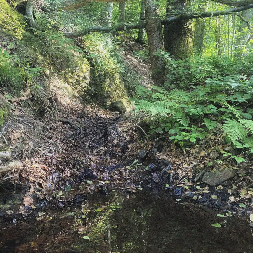 Ru du Pierreux [50.38536° N, 5.78953° O]