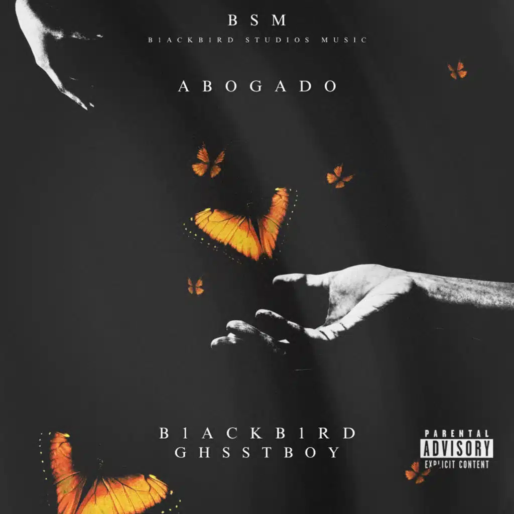 B1ACKB1RD & BSM