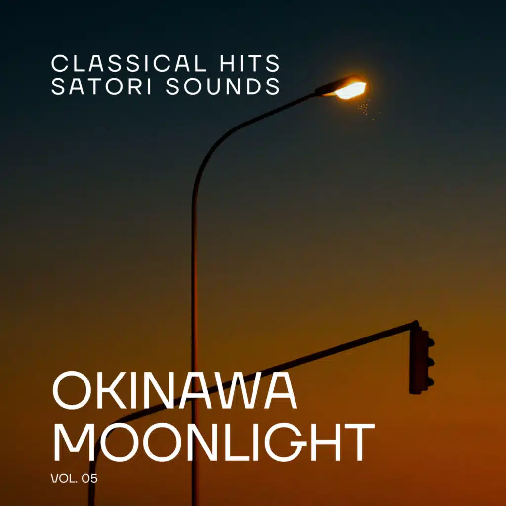 Okinawa Moonlight Vol.05