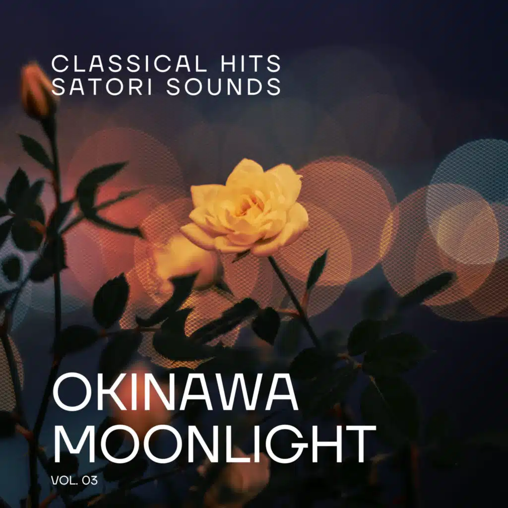 Okinawa Moonlight Vol.03