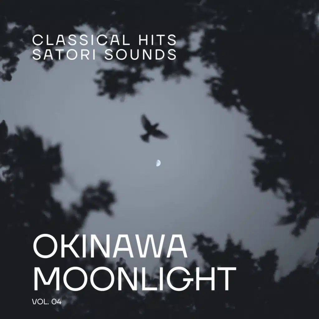 Classical Hits & Satori Sounds