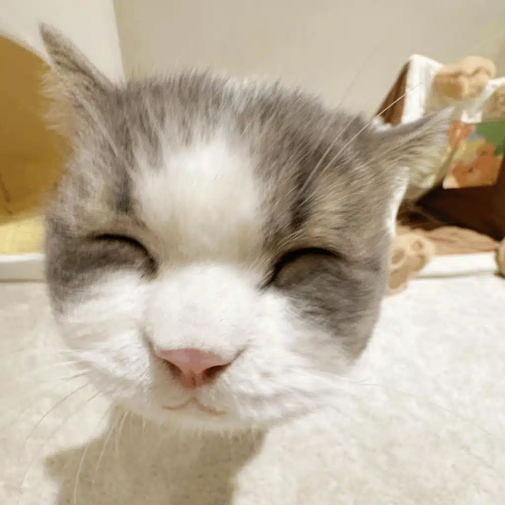 Ride (feat. Sean Kingston, Fenix Flexin, Ty Dolla $ign & Busta Rhymes)