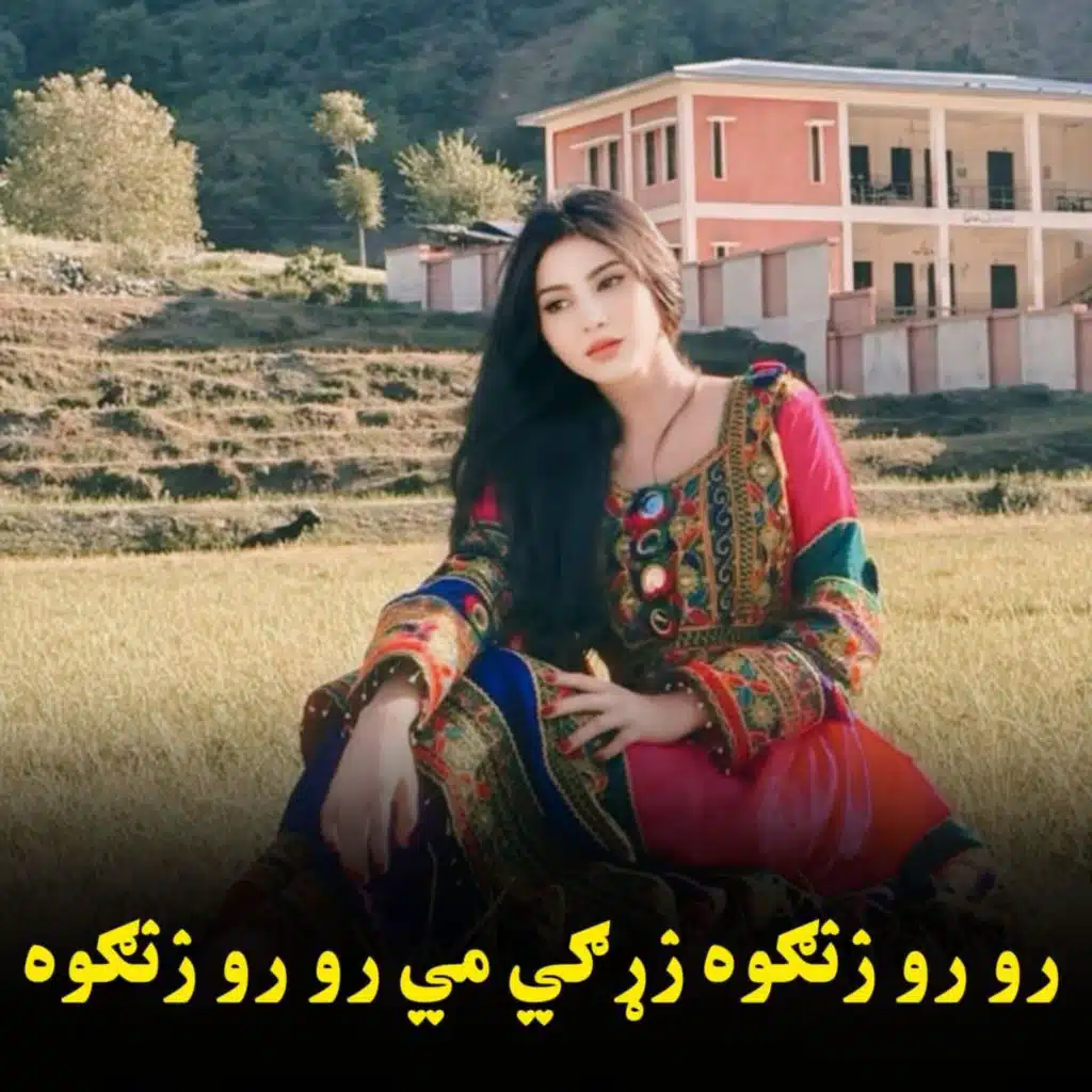 رو رو زنګوه زړګي مي رو رو زنګوه || Ro ro zangowa, zargai me ro ro zangowa || نوي سندره