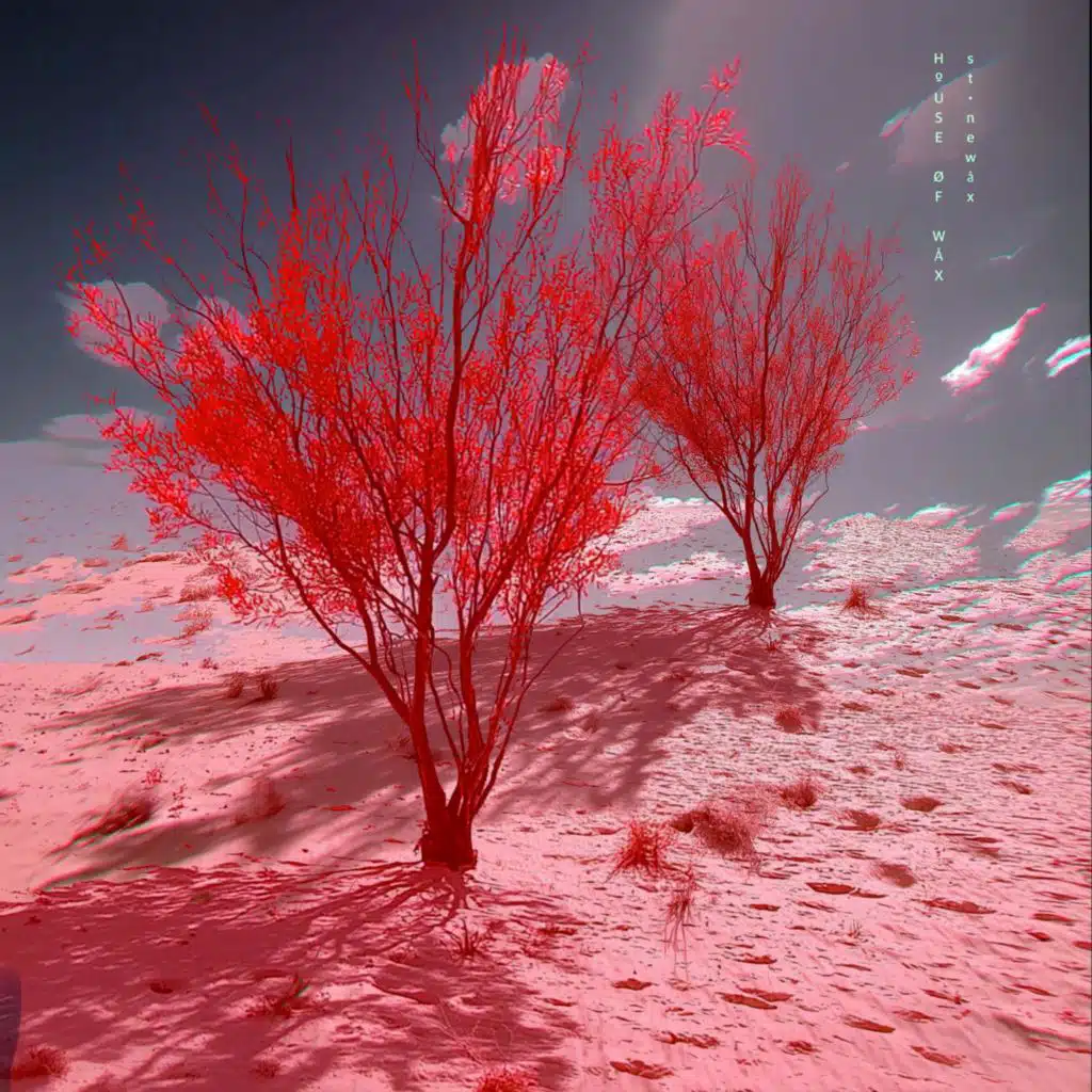 SUBS‡ÅNCE (feat. Isla Ivy, OJ Newcomb & Harrison Hughes)