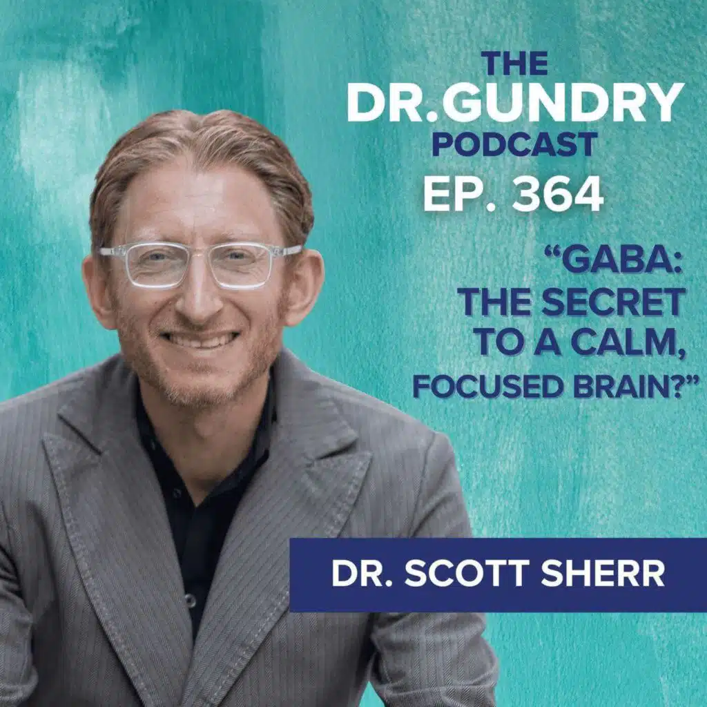 Is Your Anxiety a GABA Issue? (and not serotonin) | EP 364
