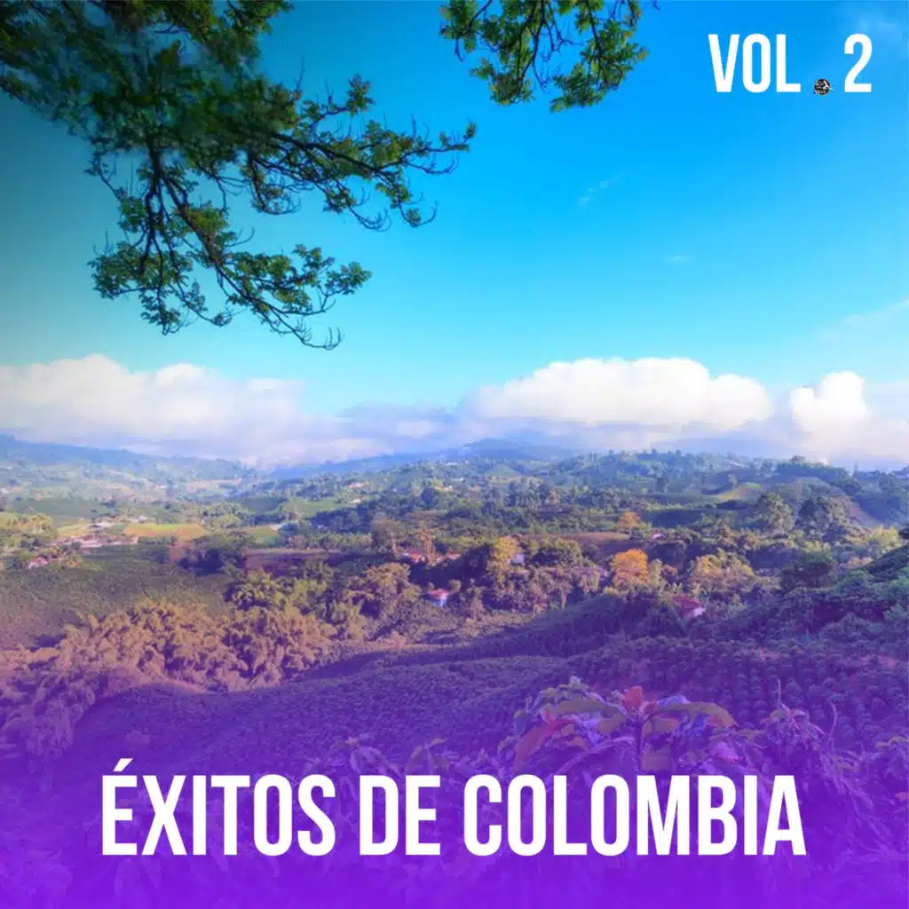 Éxitos De Colombia, Vol. 2