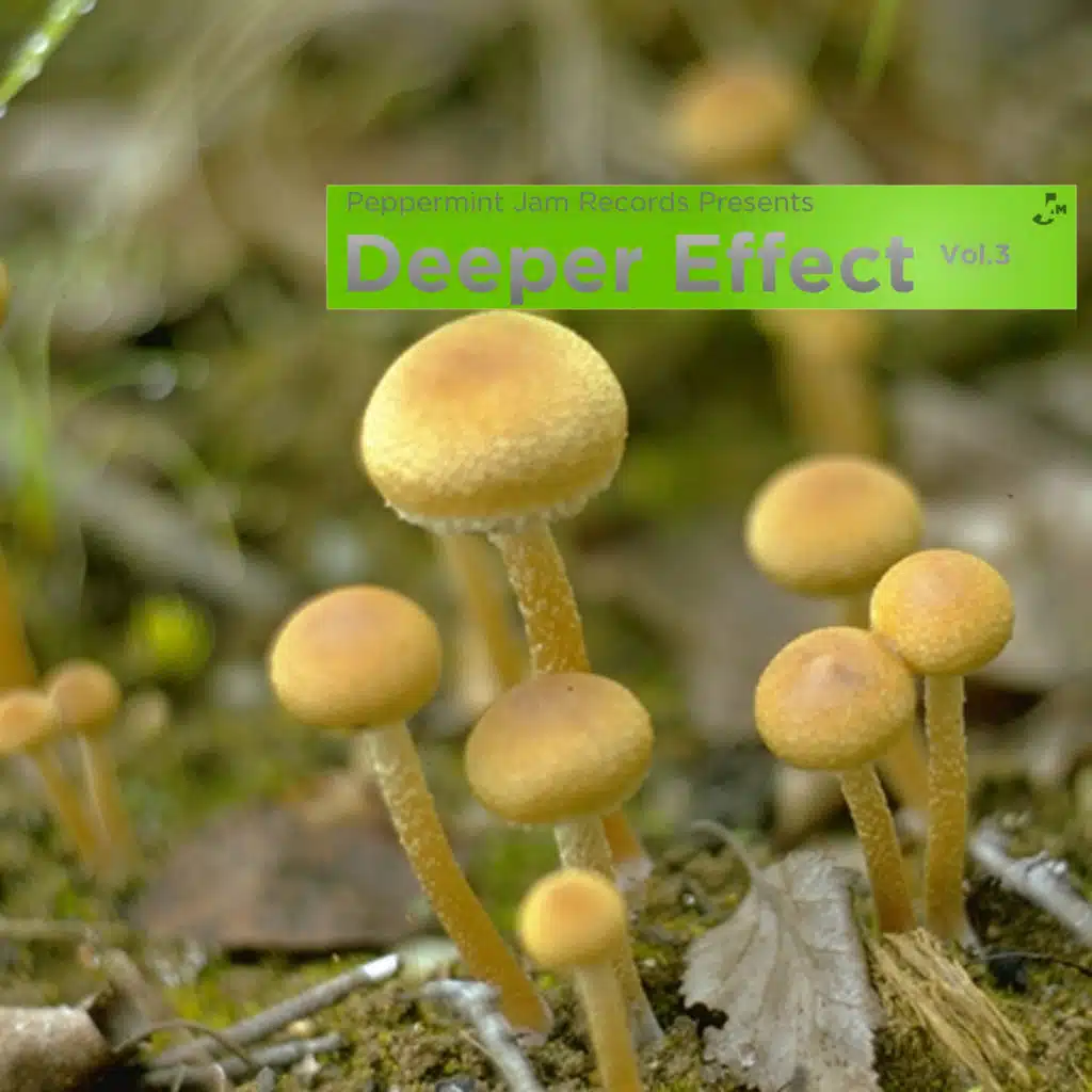 A World Celebration (Can 7 Hot Meal Vocal)