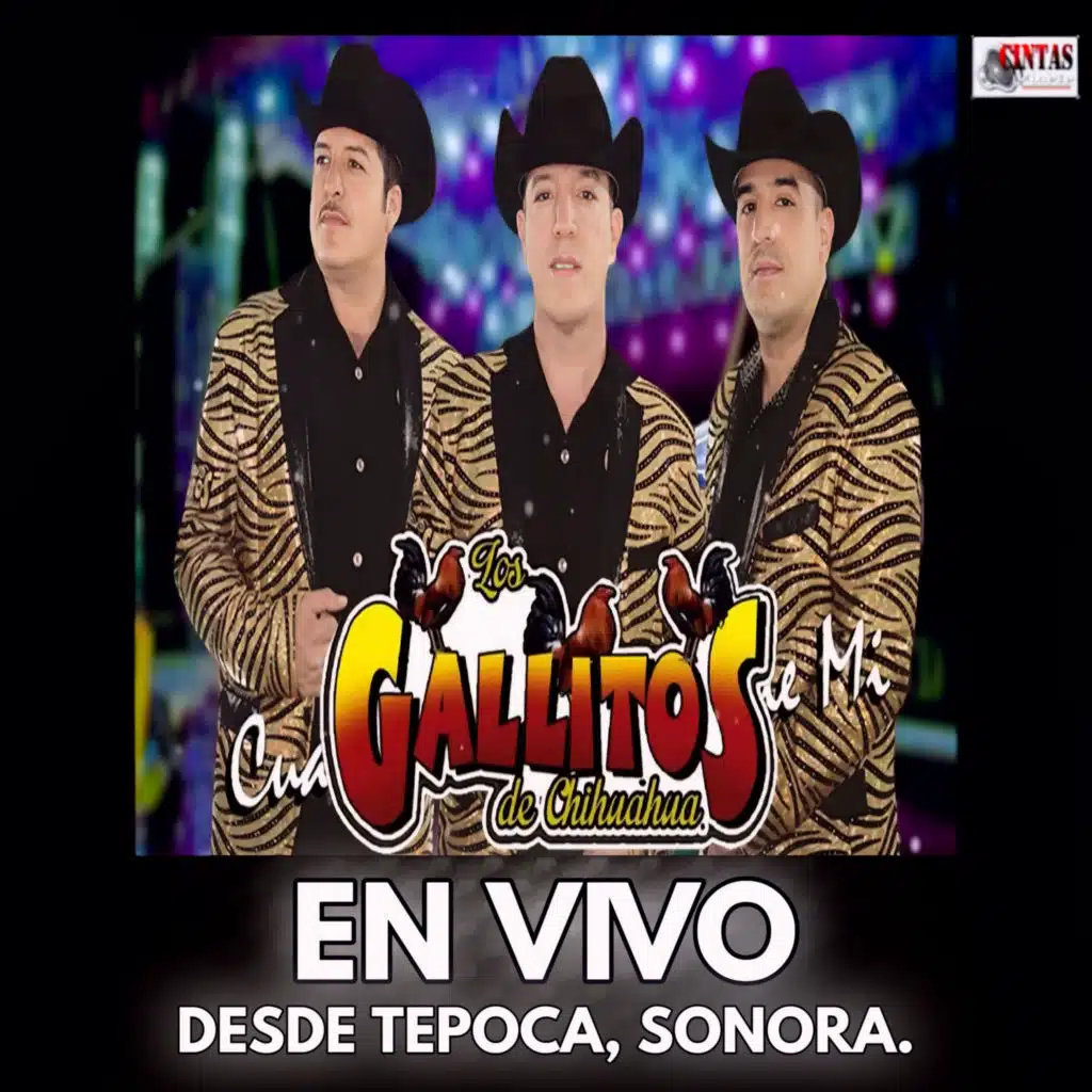 La Venia Bendita (En Vivo)