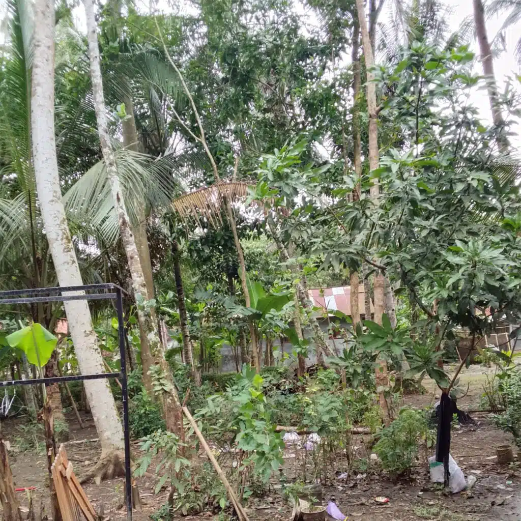 Sia Sia Berharap Cintamu