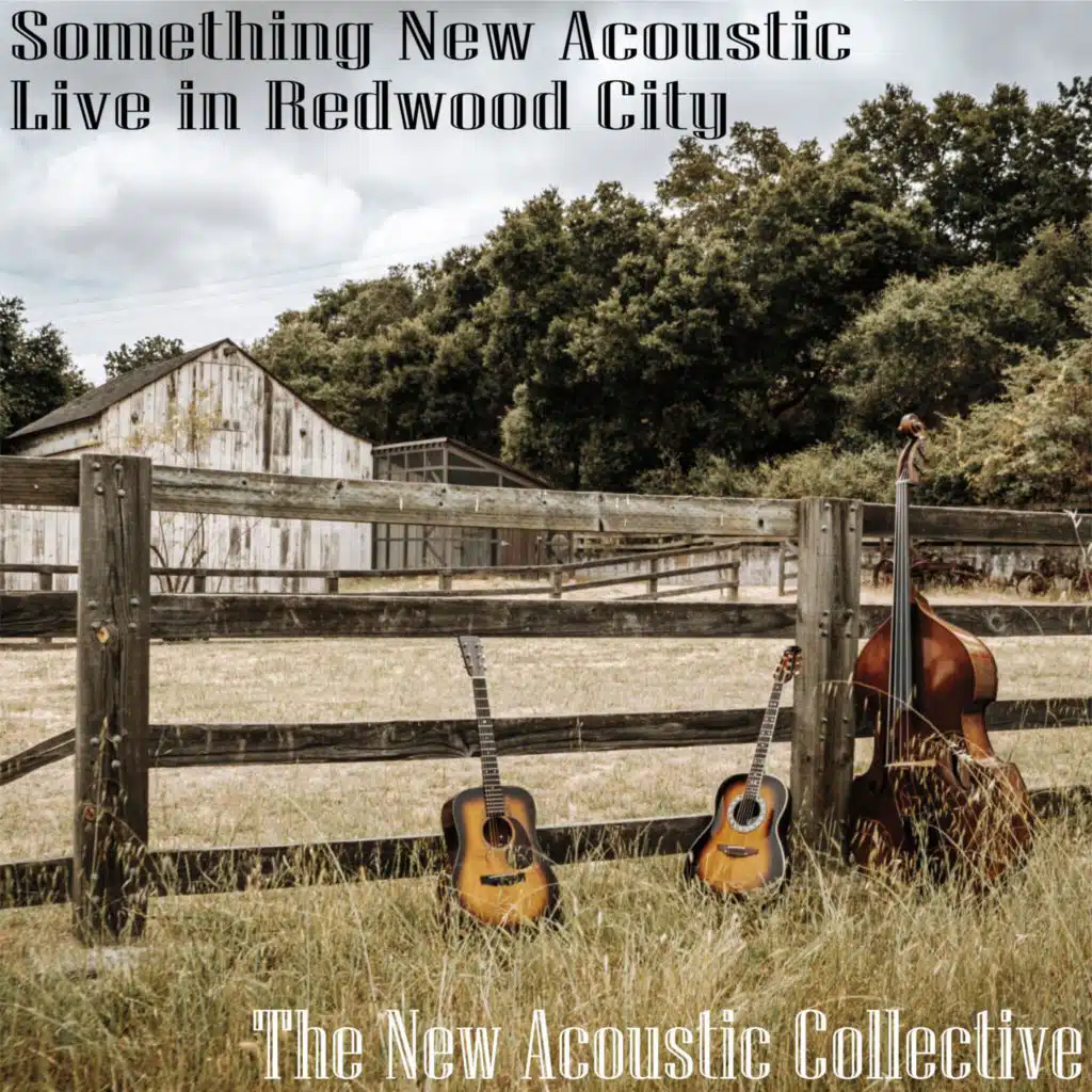 The New Acoustic Collective