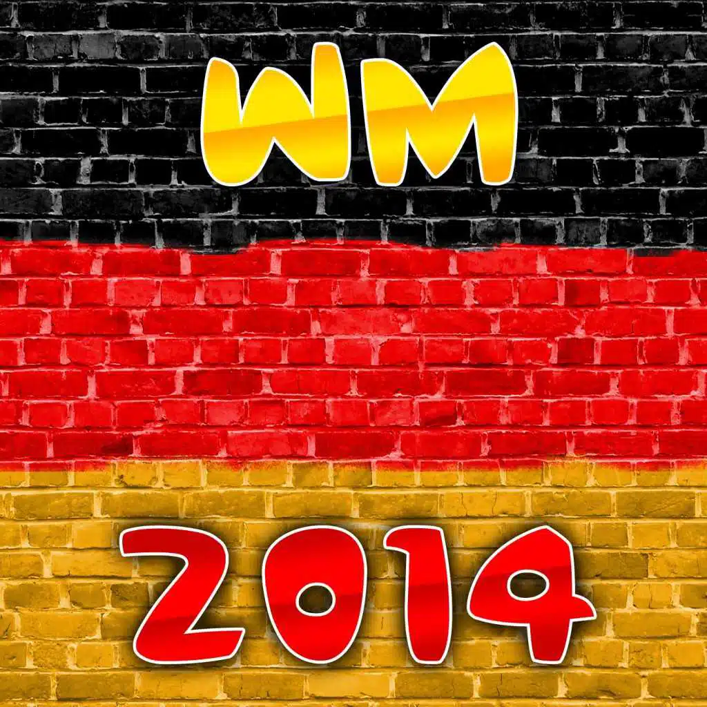 WM 2014