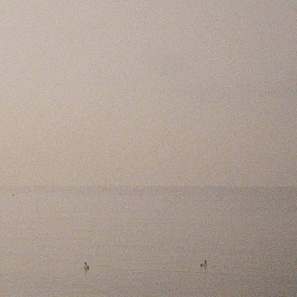 all our friends tell lies