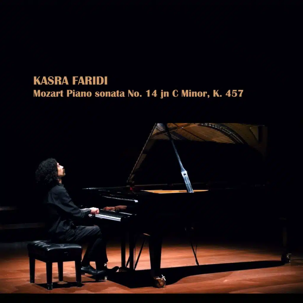 Kasra Faridi