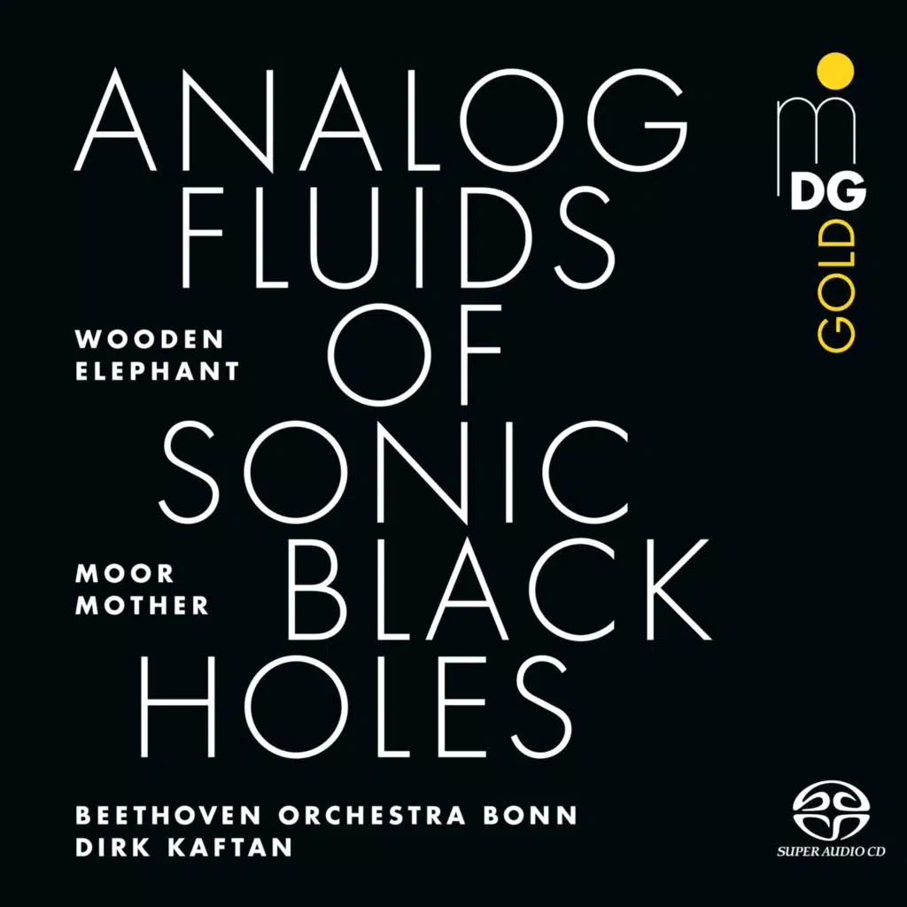 Analog Fluids of Sonic Black Holes: Passing of Time (Single Edit) [feat. Wooden Elephant, Beethoven Orchester Bonn, Dirk Kaftan & Ian Anderson]