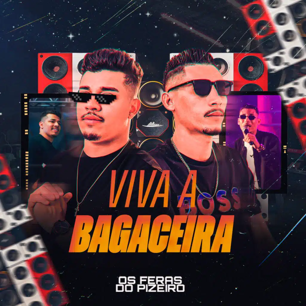 Viva A Bagaceira