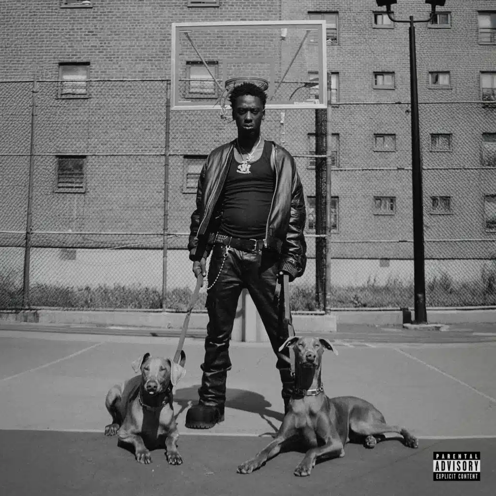 King of the Underdogs