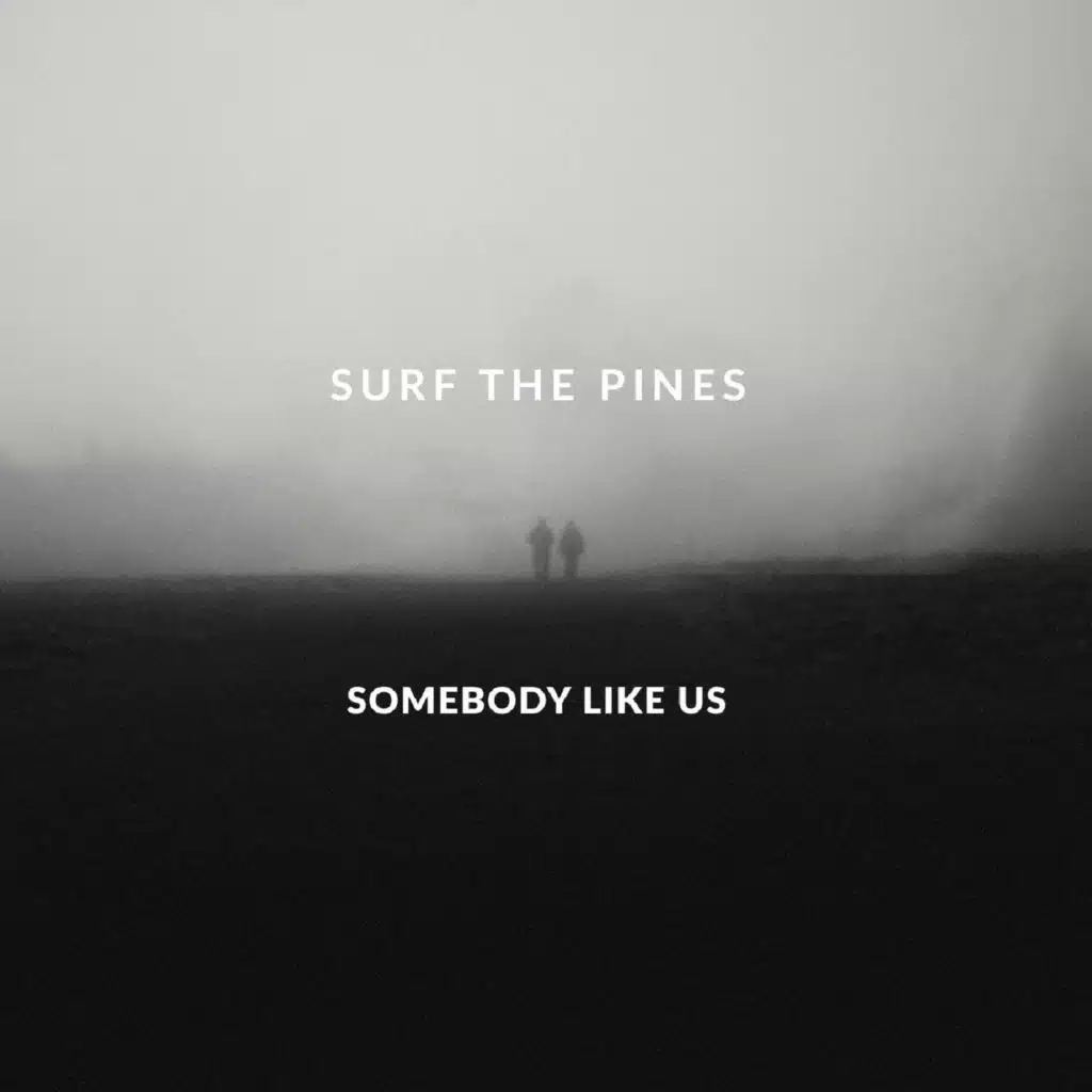Somebody Like Us (feat. Star Anna)