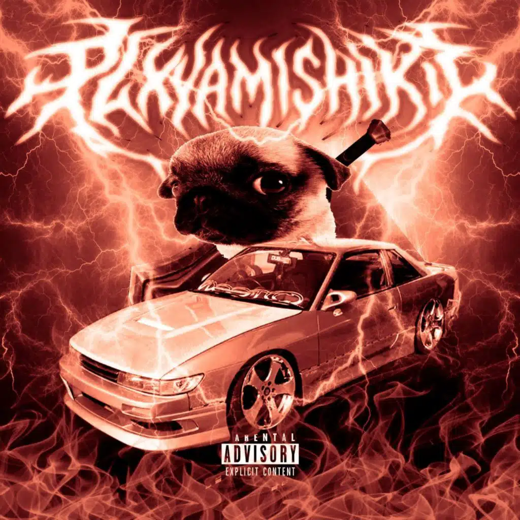 PLXYAMISHIKII