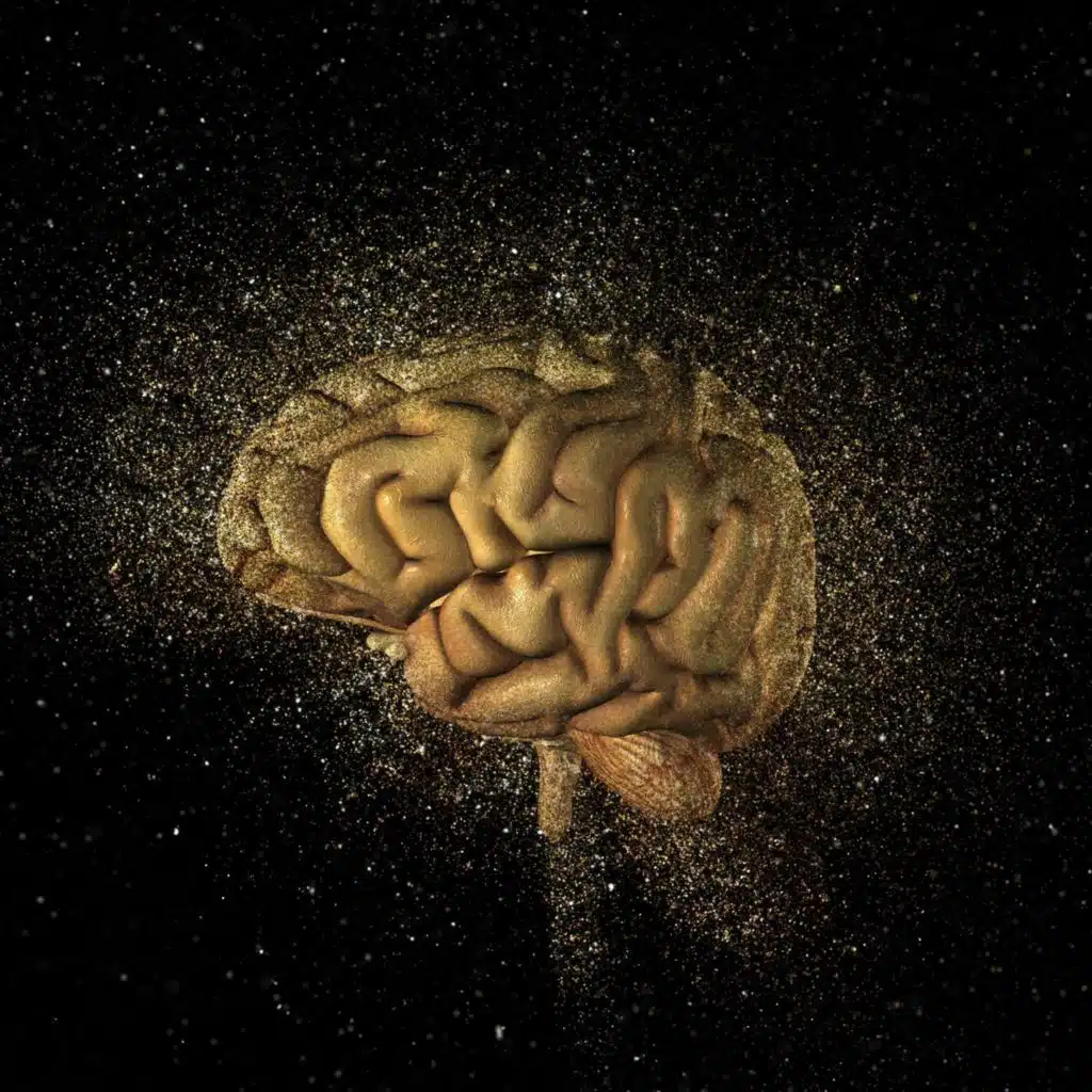 Mind Horizon