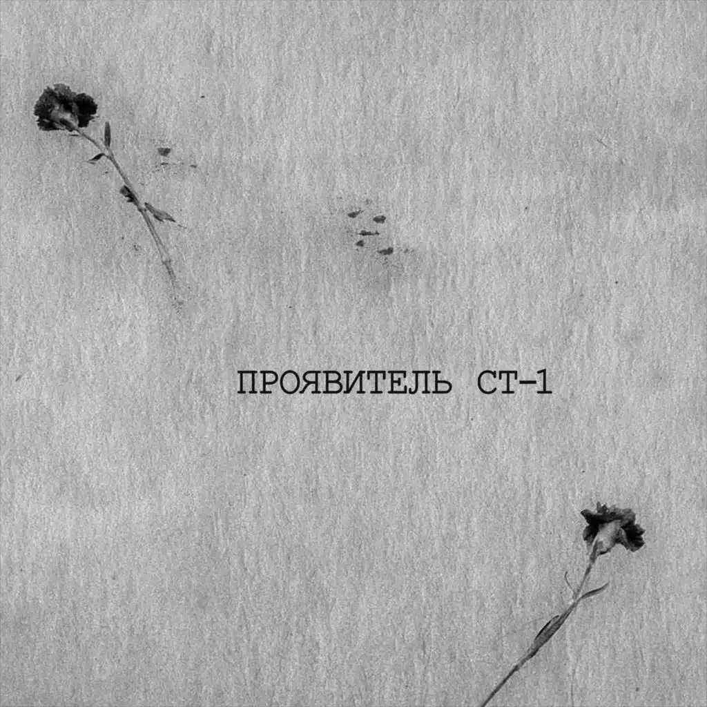 Проявитель СТ-1