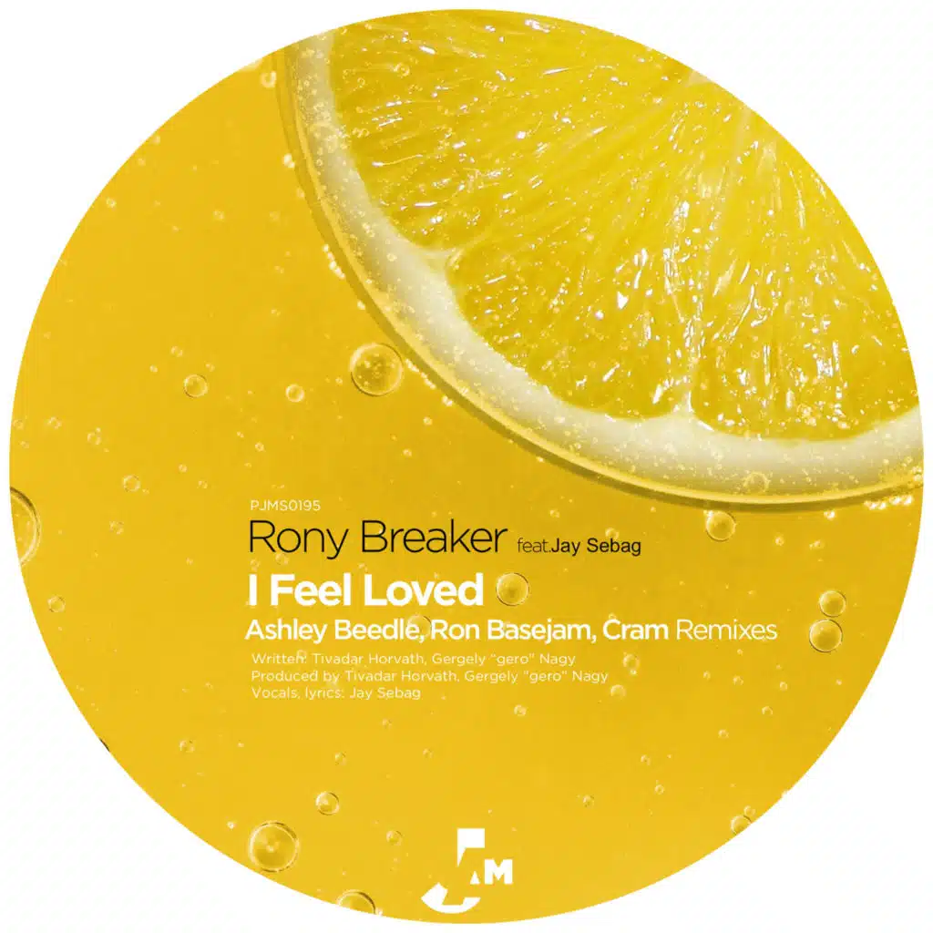 I Feel Loved (Ashley Beedle Dub Mix) [feat. Jay Sebag]