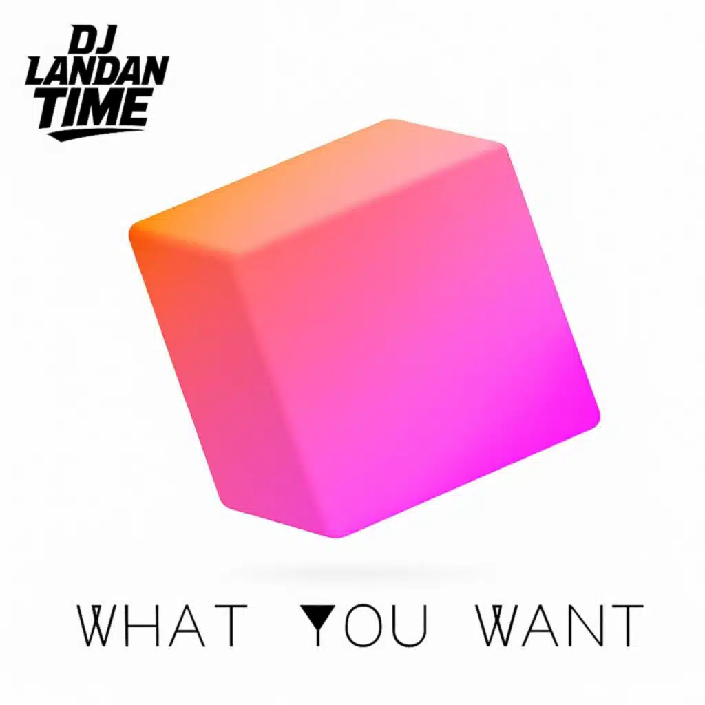 What You Want (Original)