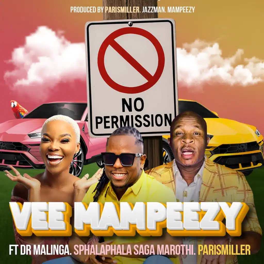 No Permission (feat. Dr Malinga, Sphalaphala Saga Marothi & ParisMiller)