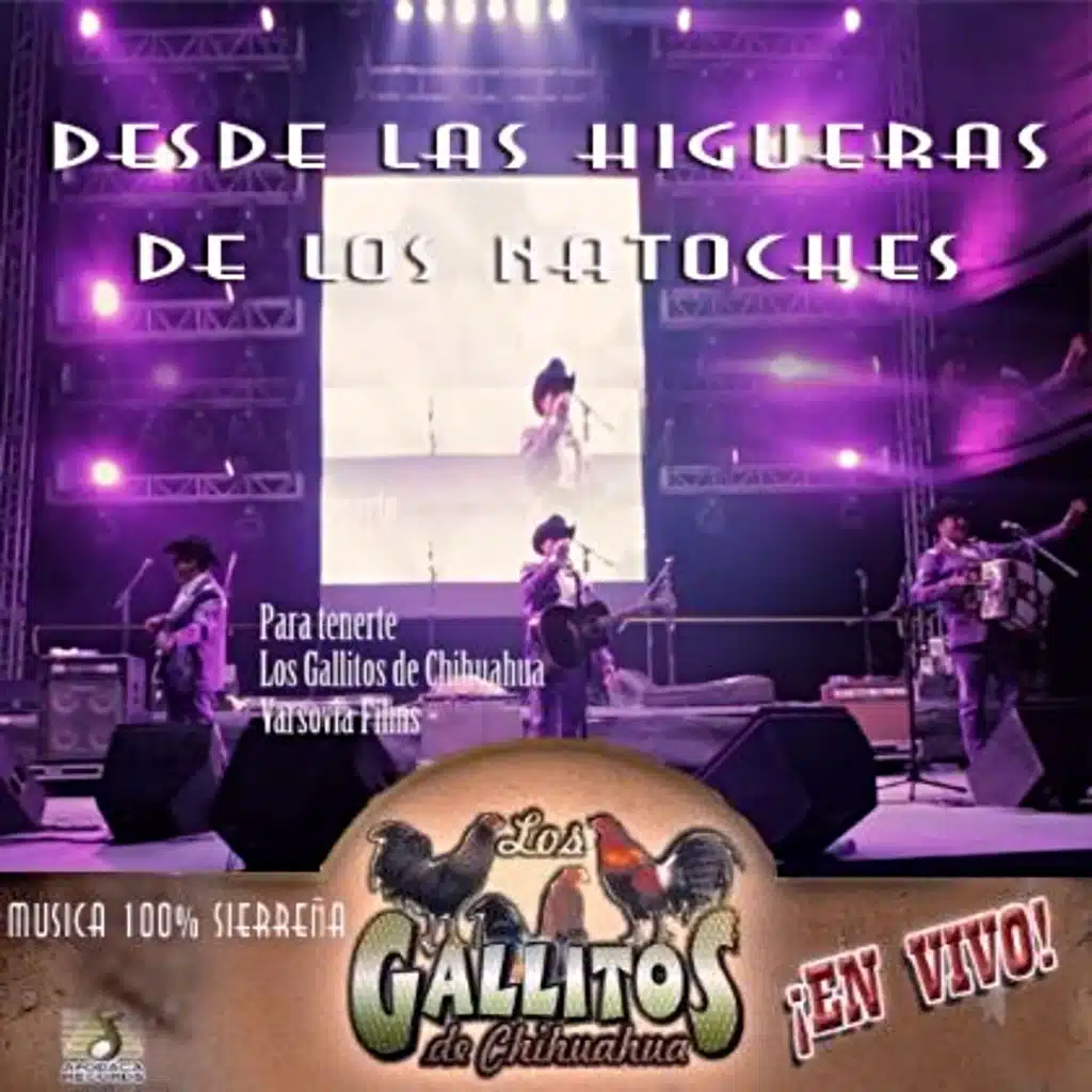 Los gallitos de chihuahua