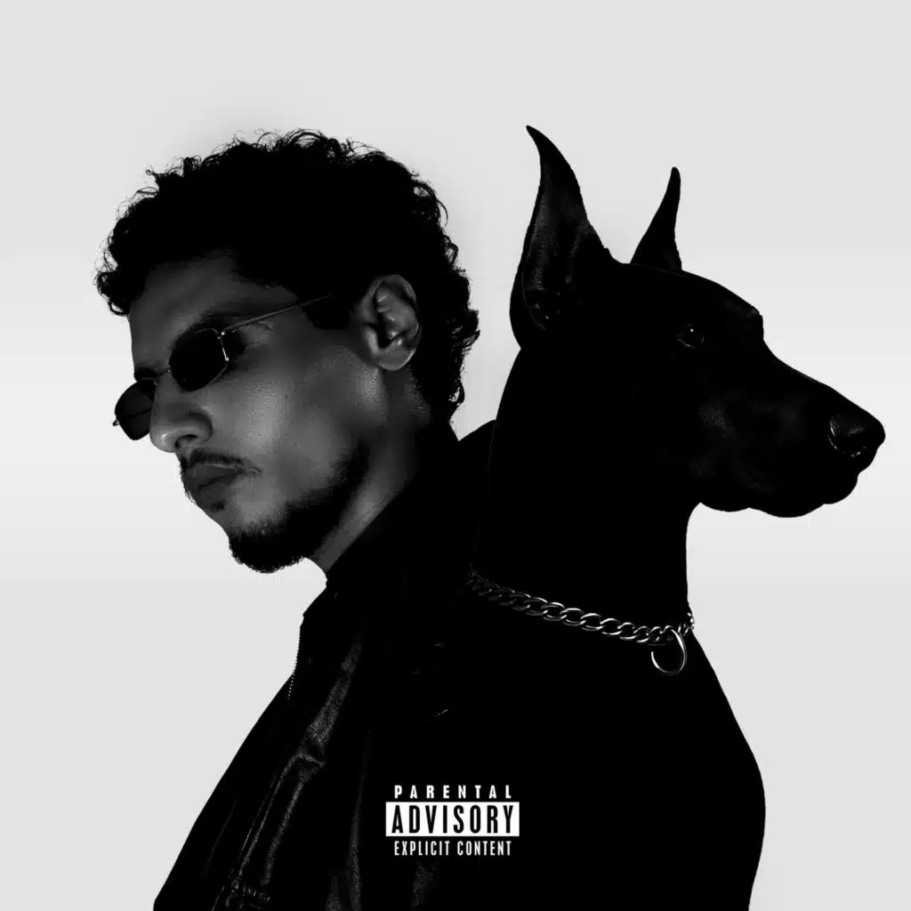 كلاب المولا