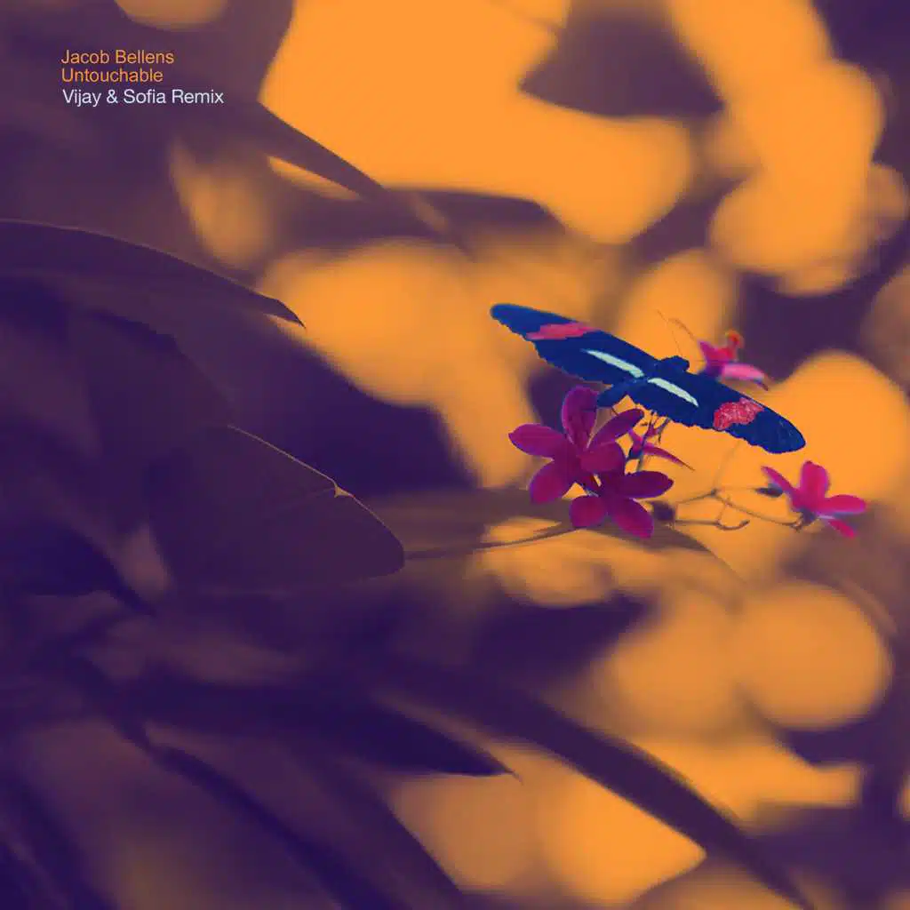 Untouchable (Vijay & Sofia Remix)