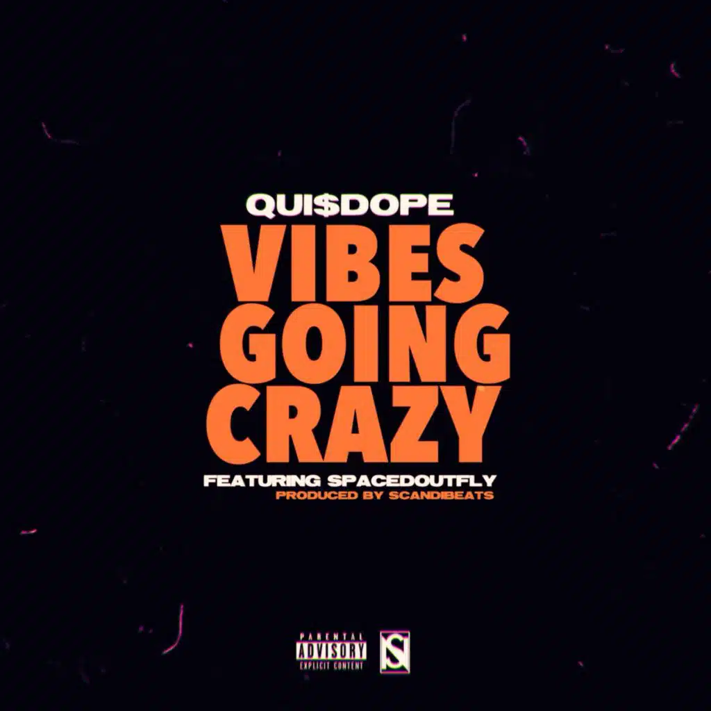 Vibes Going Crazy (feat. SpacedOutFly)
