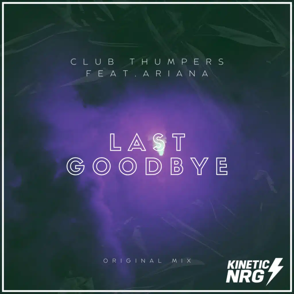 The Last Goodbye (Feat Ariana) (Radio Edit)