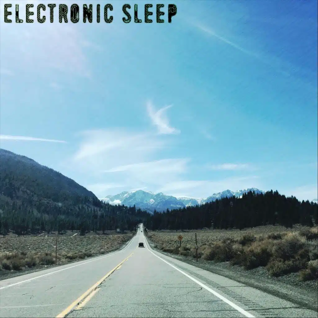 Electronic Sleep