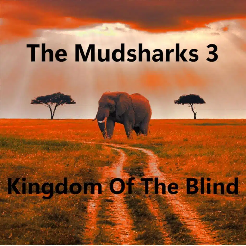 The Mudsharks 3