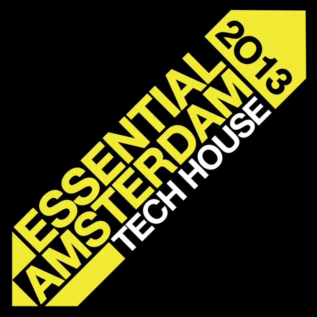 Essential Amsterdam 2013: Tech House