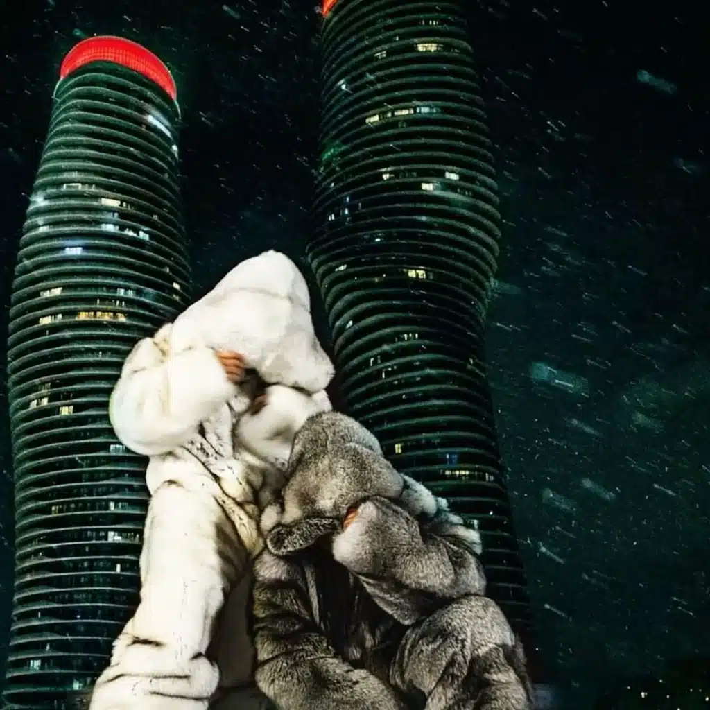 Drake/ Party next door