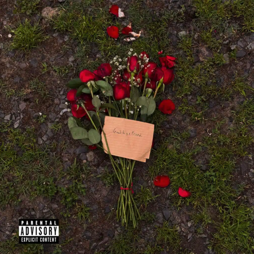 Goodbye Friend.